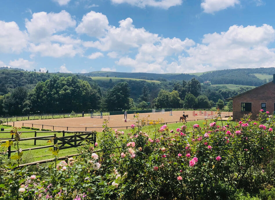 lifestyle, nottingham rd